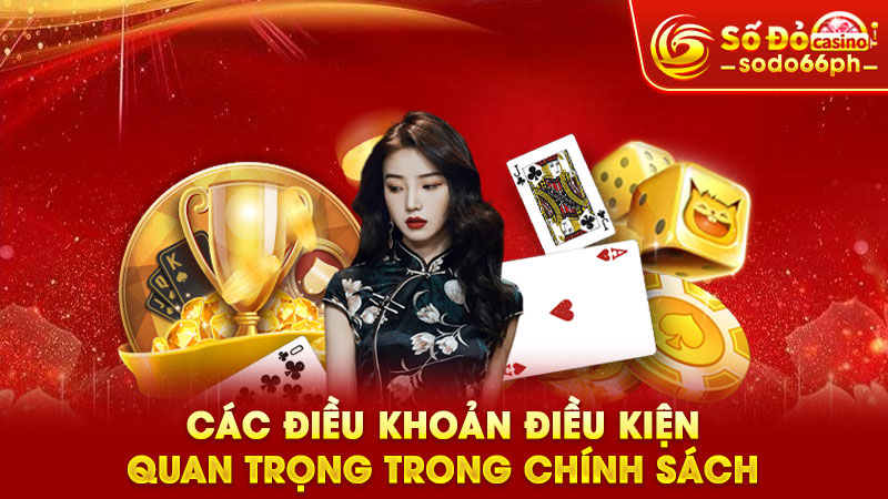 các điều khoản điều kiện quan trọng trong chính sách