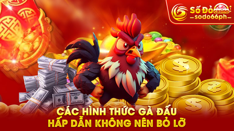 các hình thức gà đấu hấp dẫn không nên bỏ lỡ