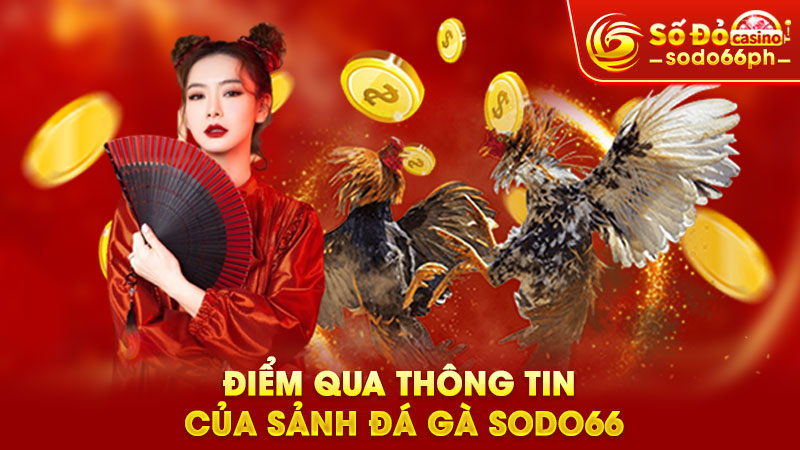 điểm quua thông tin của sảnh đá gà sodo66