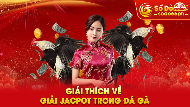 giải thích về giải jacpot trong đá gà