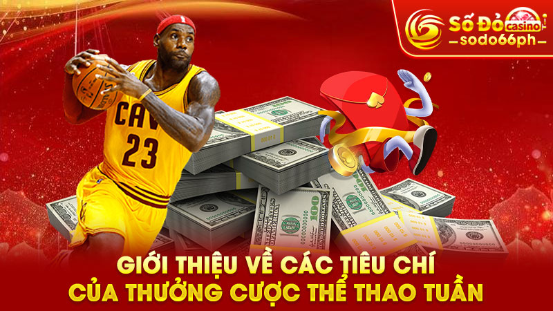 giới thiệu về các tiêu chí của thưởng cược thể thao tuần