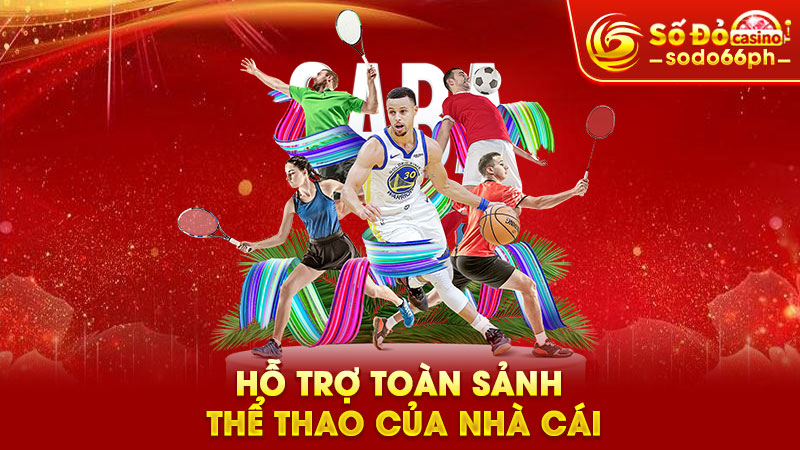 hỗ trợ toàn sảnh thể thao của nhà cái
