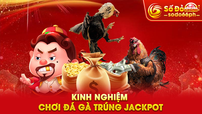 kinh nghiệm chơi đá gà trúng jackpot