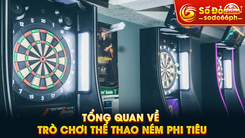 tổng quan về trò chơi thể thao ném phi tiêu