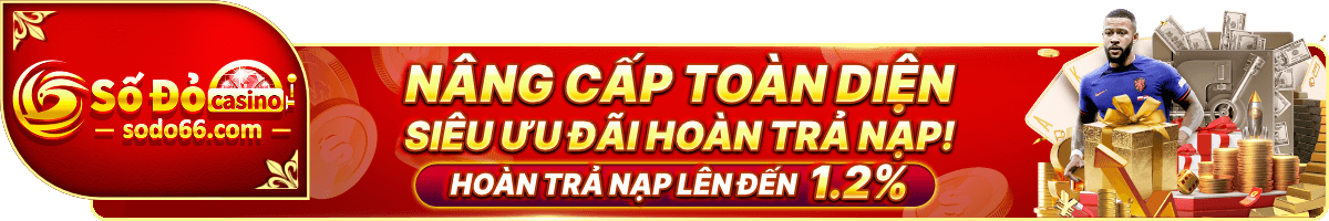 nâng cấp toàn diện